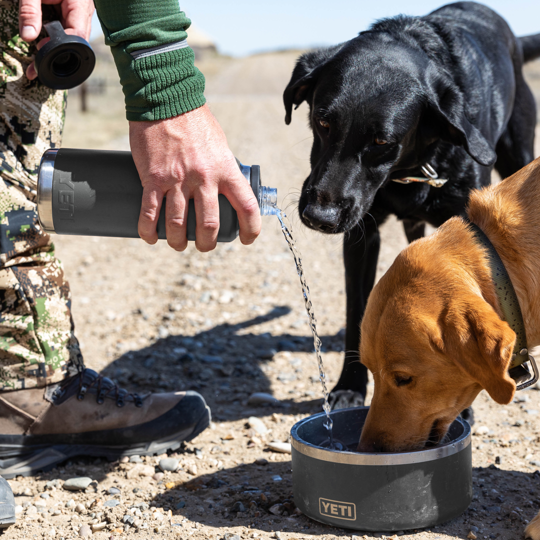 Boomer Dog Bowls