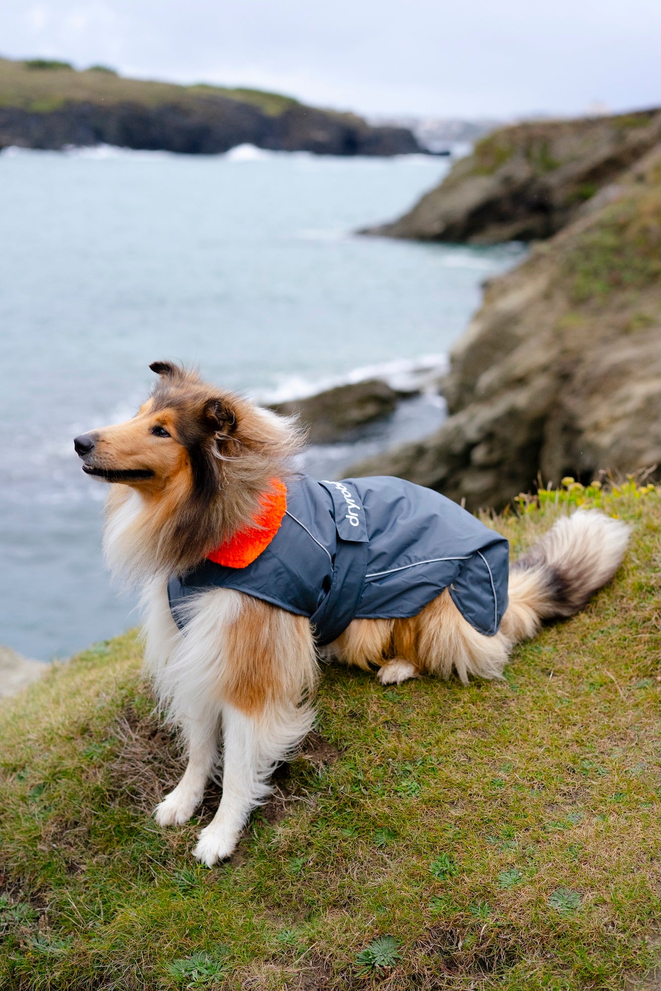 DRYROBE DOG COAT DARKGREY/ORANGE