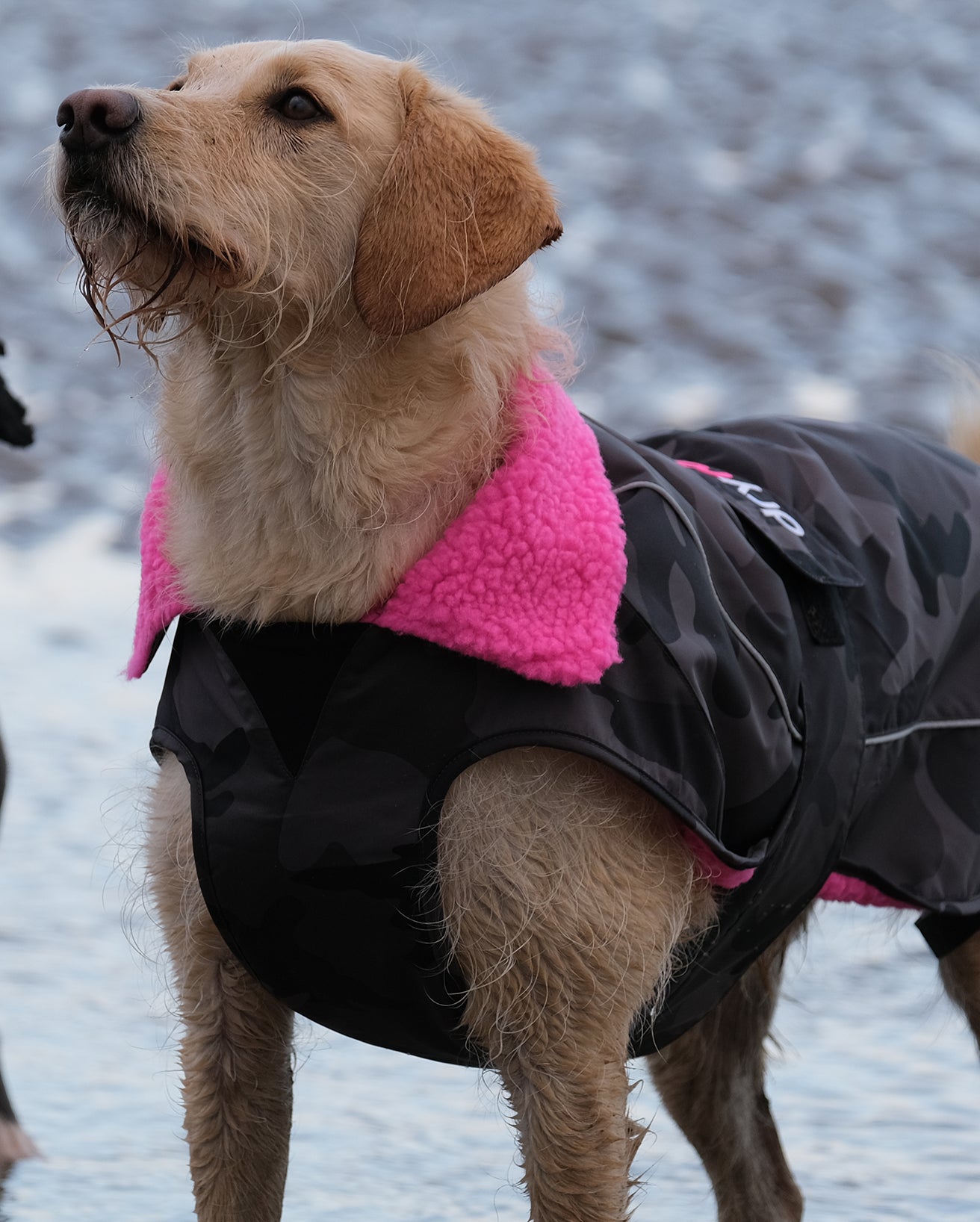 DRYROBE DOG COAT BLACKCAMO/PINK