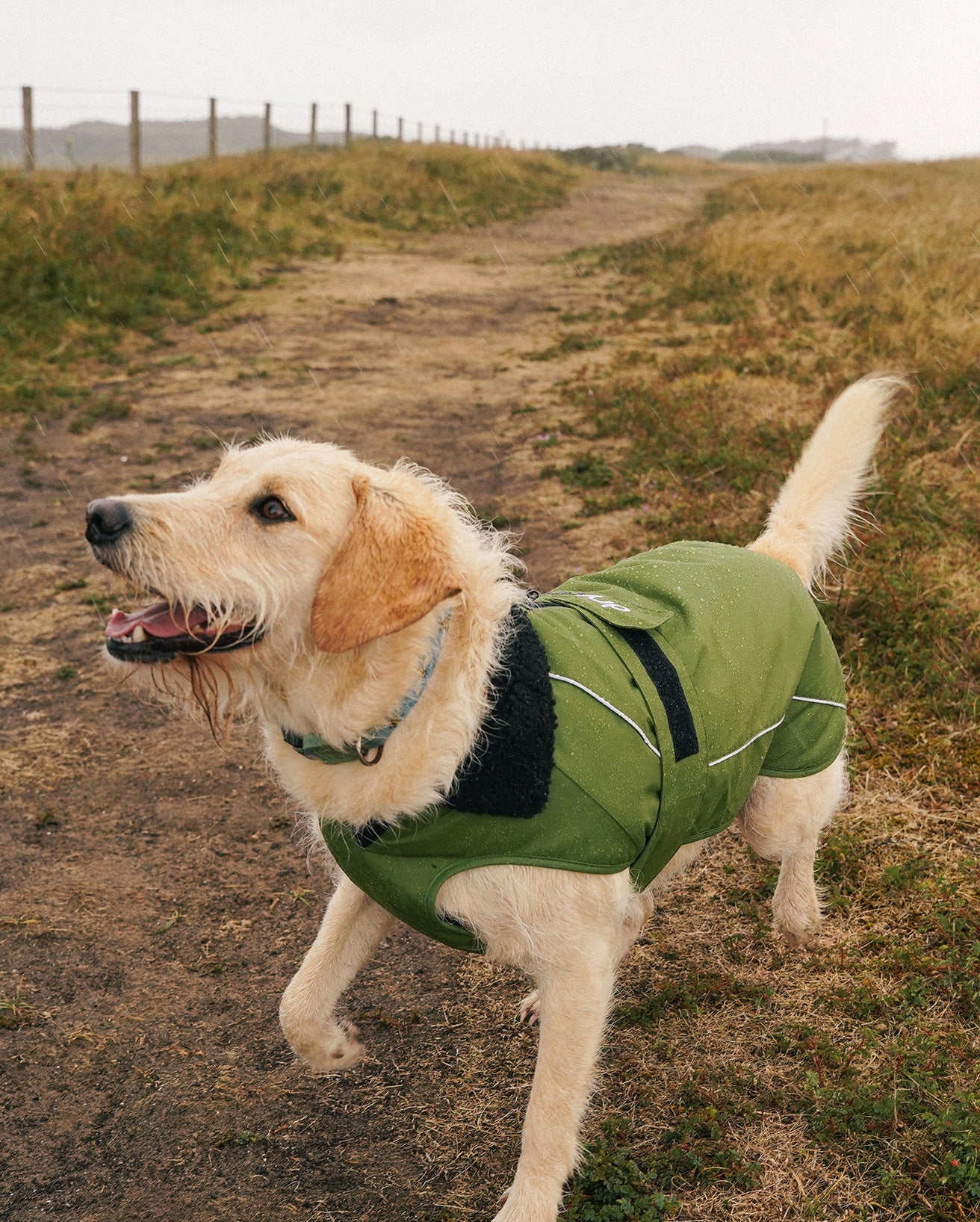 DRYROBE DOG COAT FORESTGREEN/BLACK