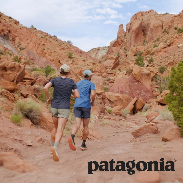 Patagonia