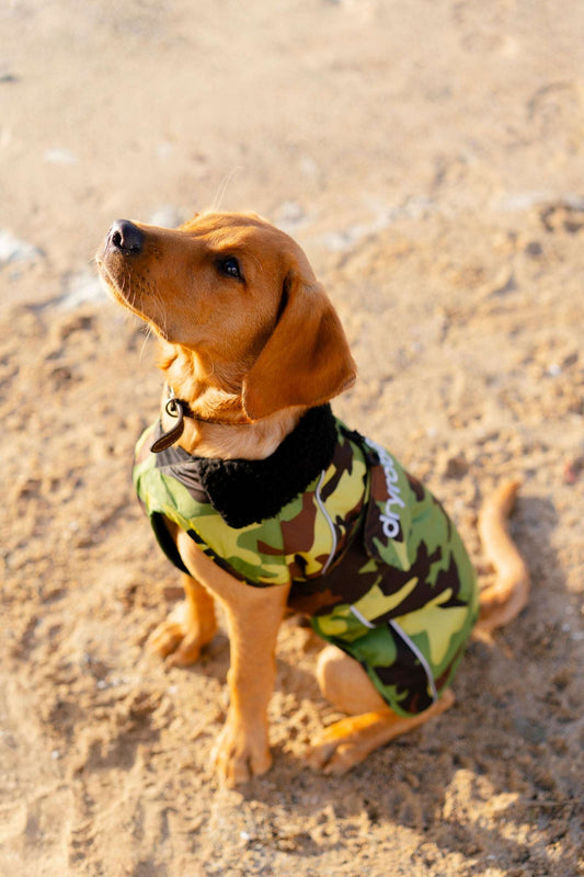 DRYROBE DOG COAT GREENCAMO/BLACK