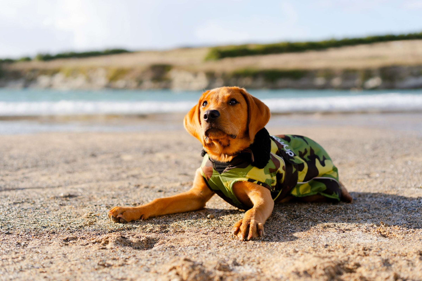 DRYROBE DOG COAT GREENCAMO/BLACK
