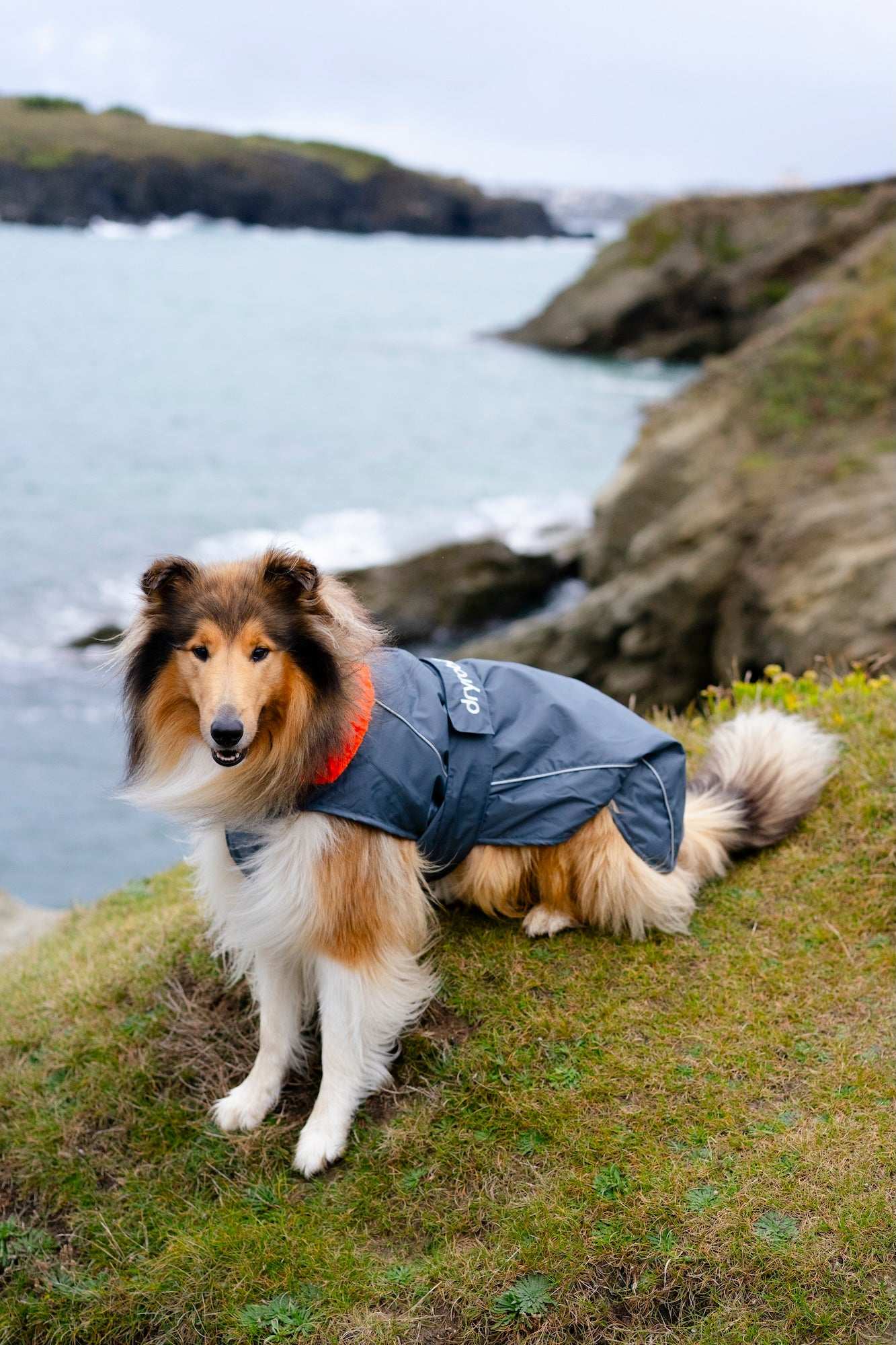 DRYROBE DOG COAT DARKGREY/ORANGE