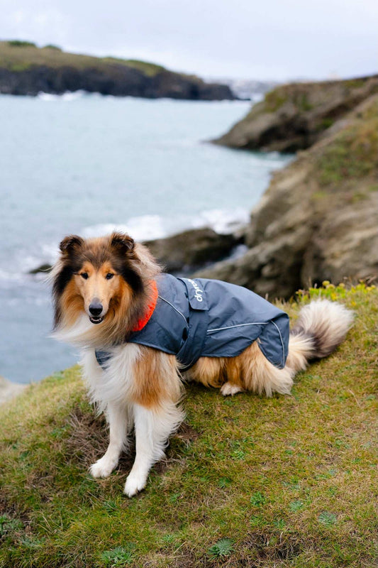DRYROBE DOG COAT DARKGREY/ORANGE