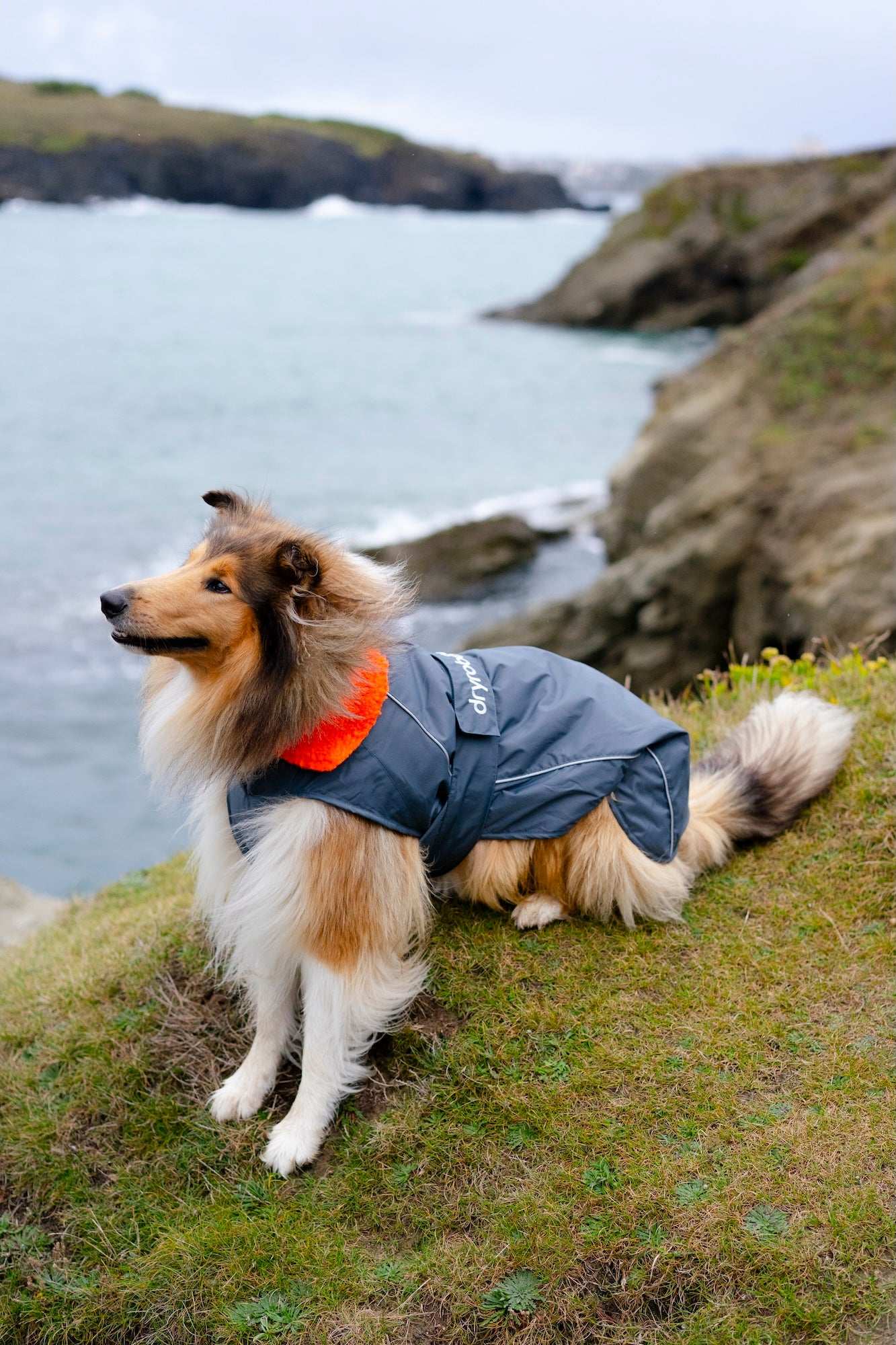 DRYROBE DOG COAT DARKGREY/ORANGE