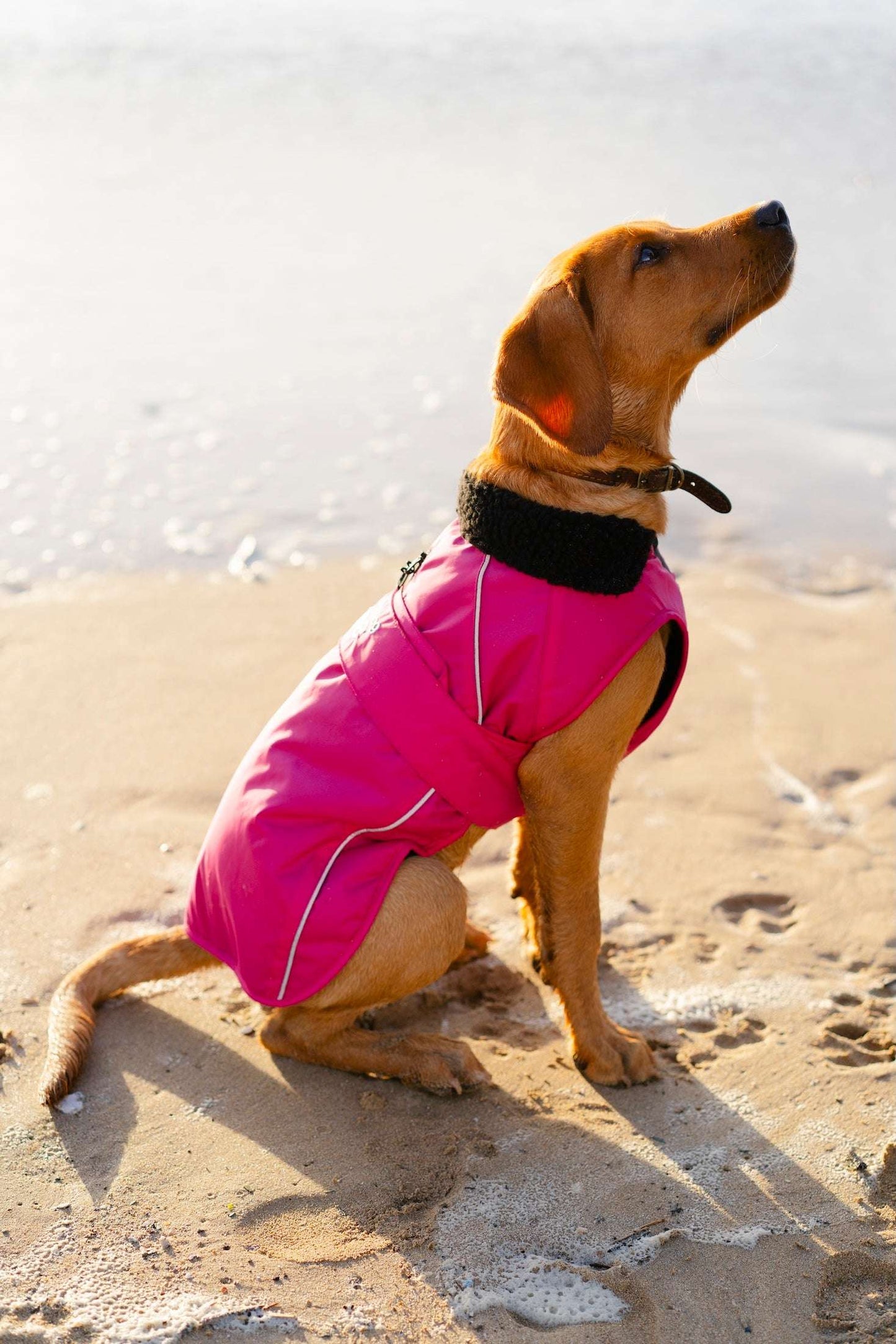 DRYROBE DOG COAT PINK/BLACK
