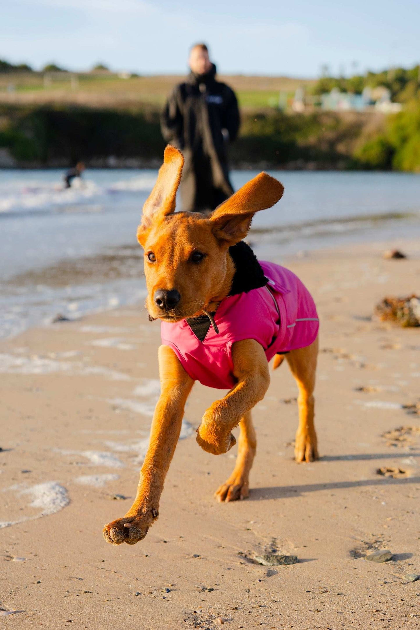 DRYROBE DOG COAT PINK/BLACK