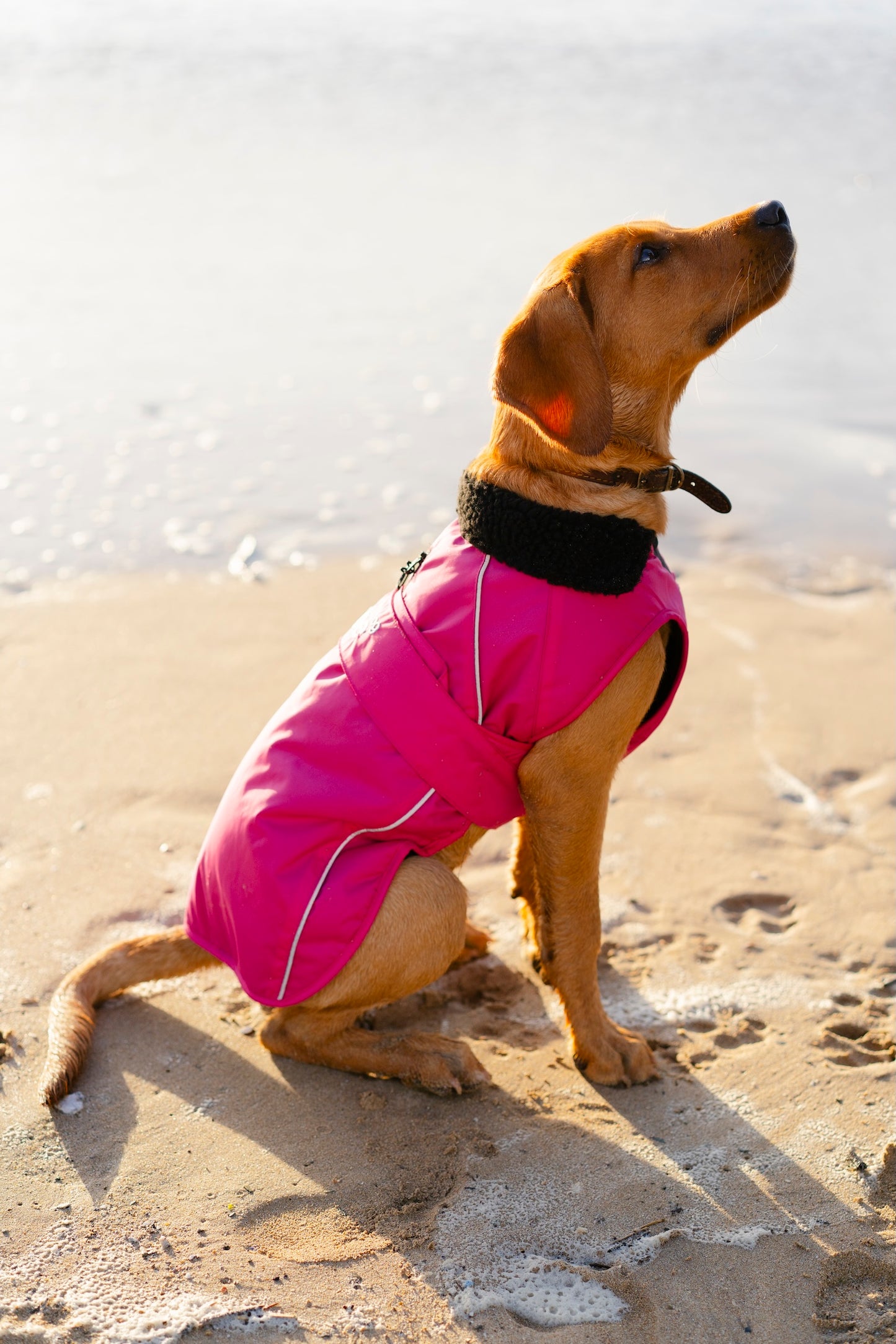 DRYROBE DOG COAT PINK/BLACK