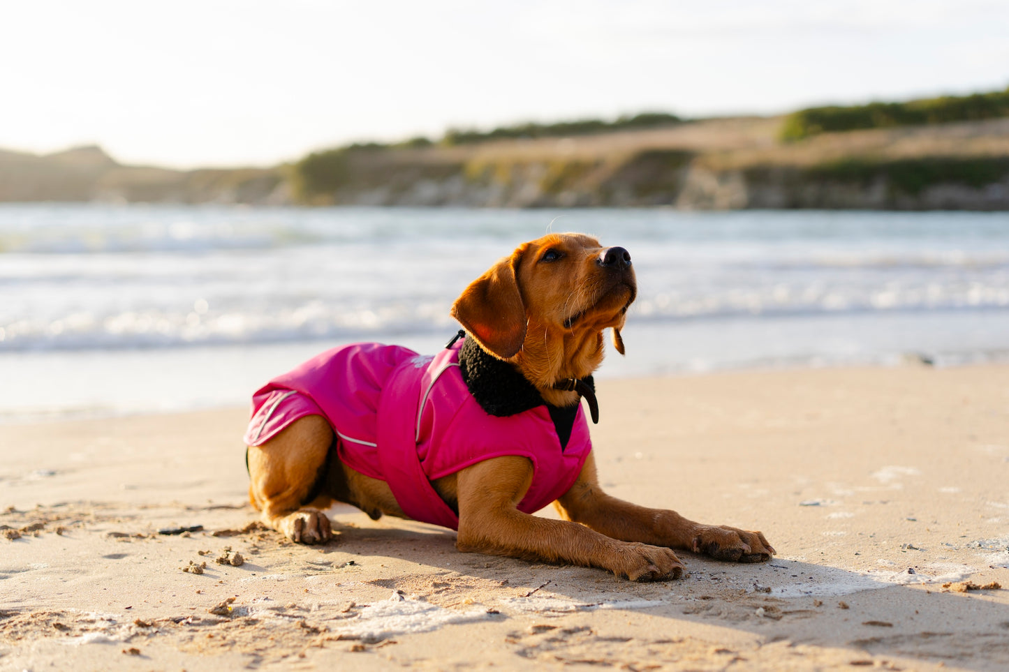 DRYROBE DOG COAT PINK/BLACK