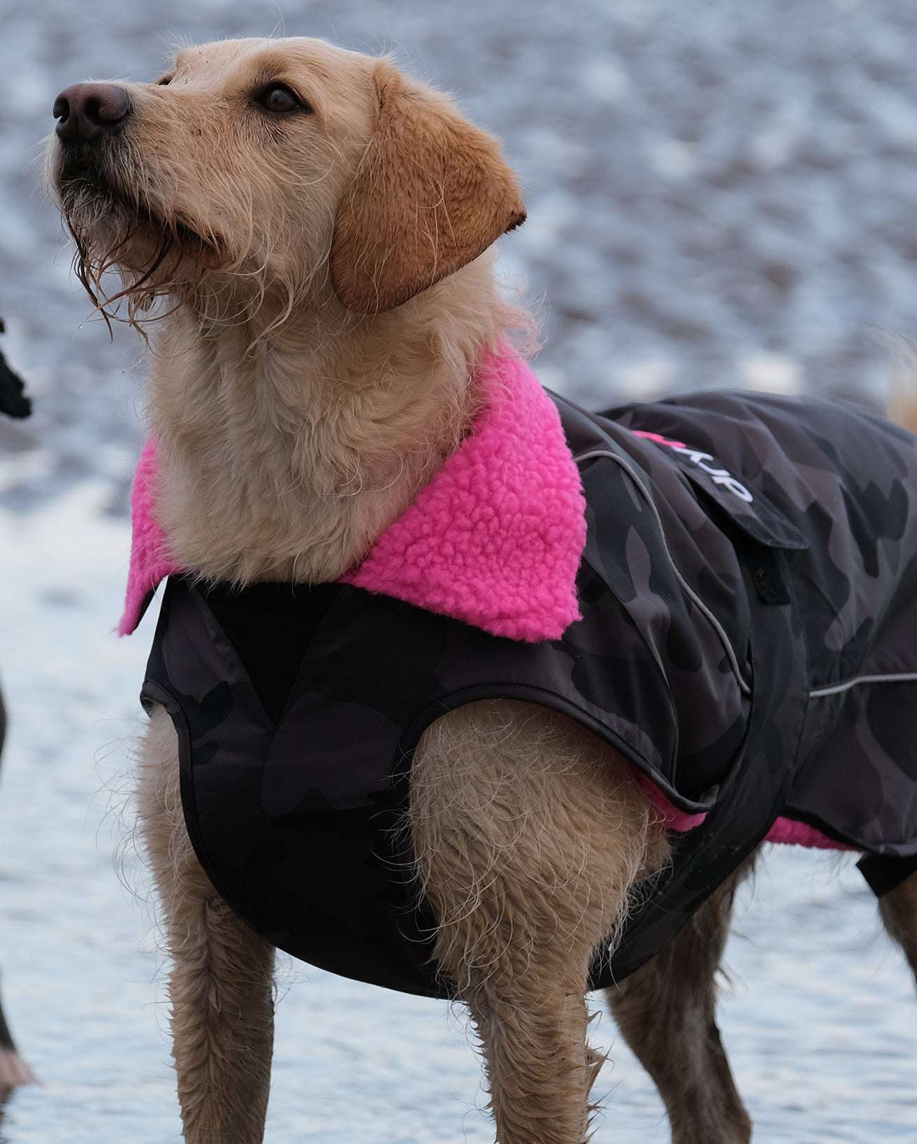 DRYROBE DOG COAT BLACKCAMO/PINK