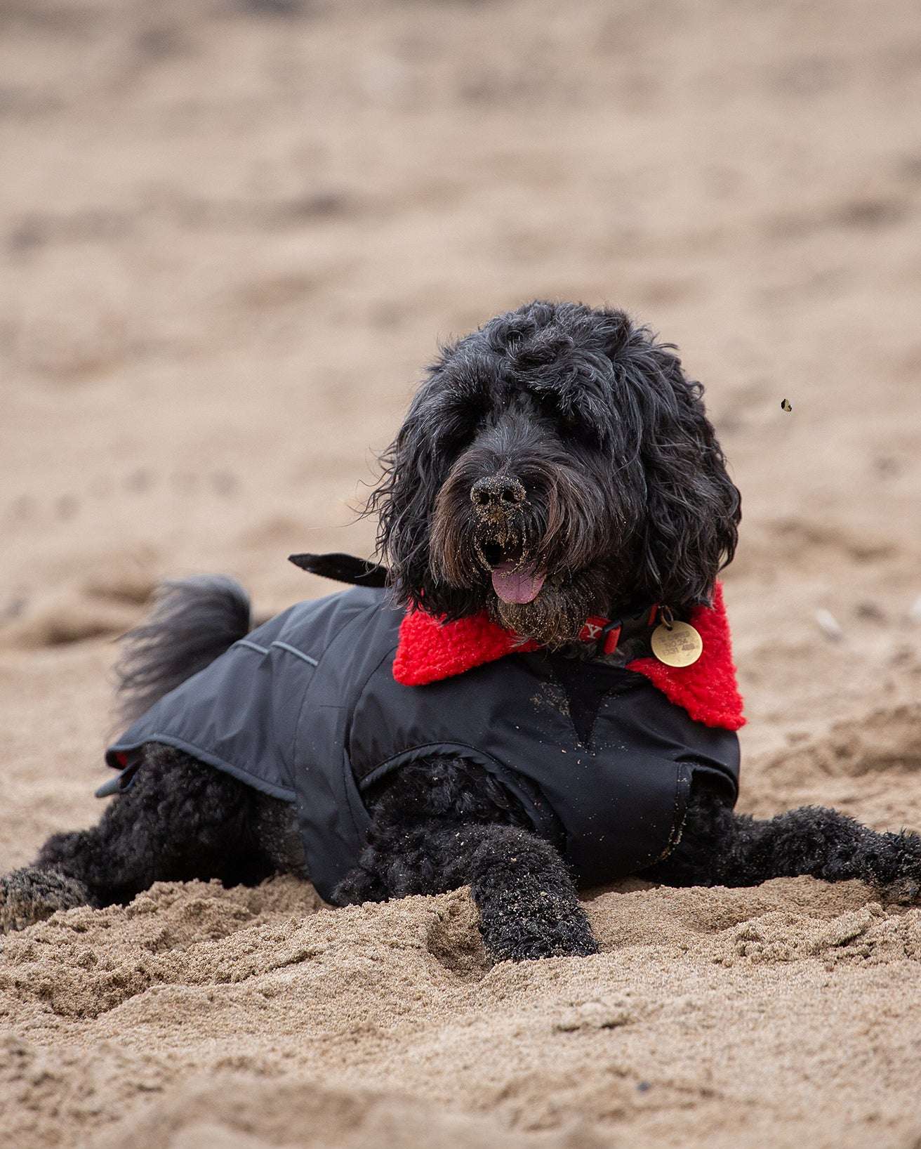 DRYROBE DOG COAT BLACK/RED