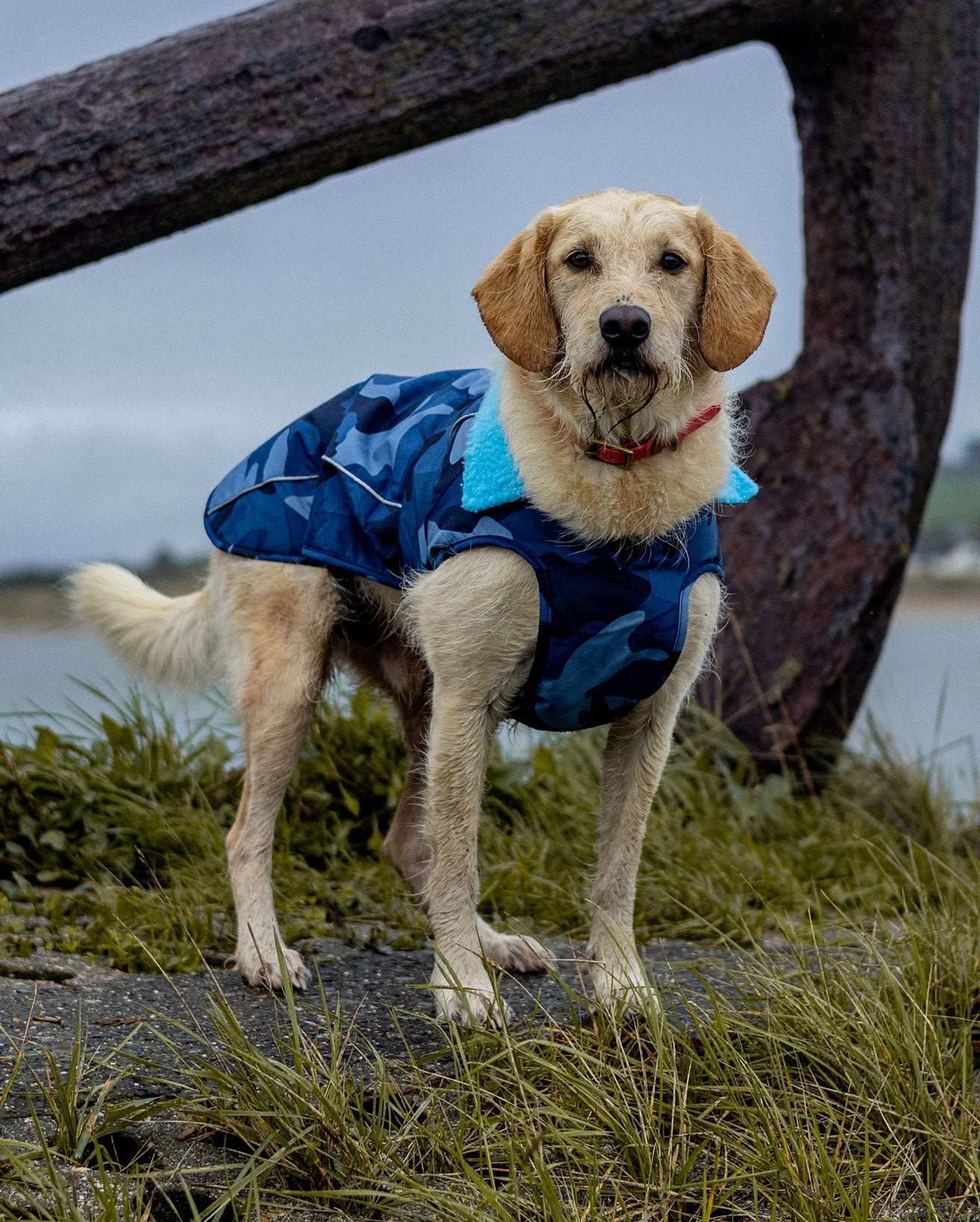 DRYROBE DOG COAT BLUECAMO/BLUE