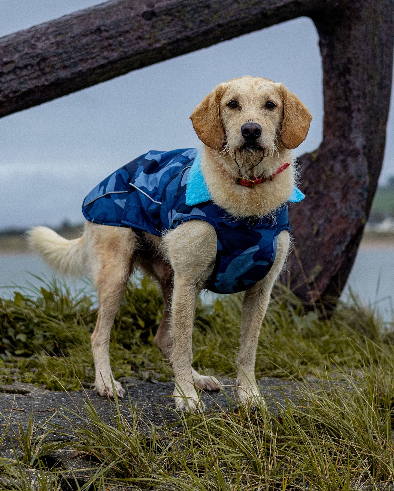 DRYROBE DOG COAT BLUECAMO/BLUE