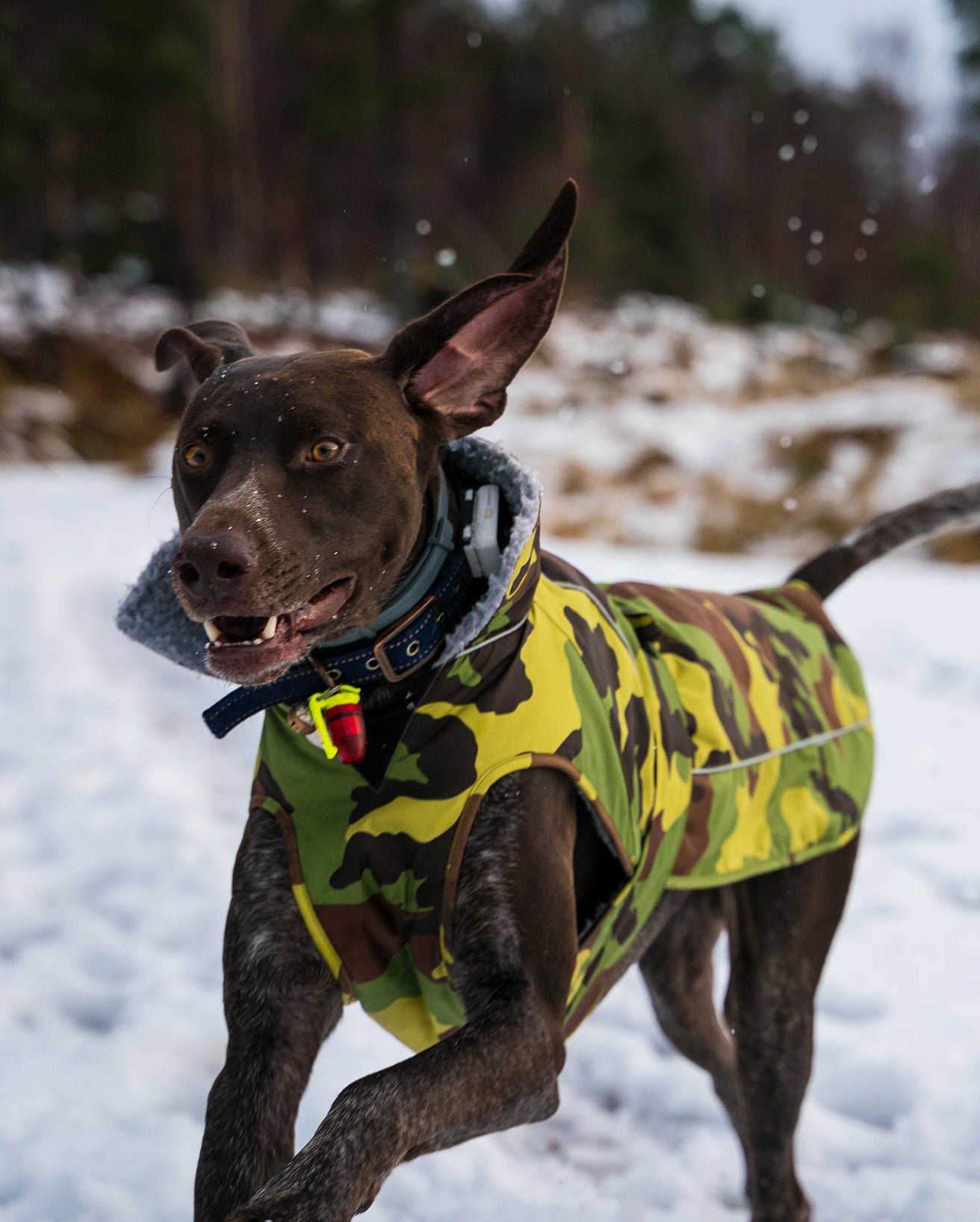DRYROBE DOG COAT GREENCAMO/GREY
