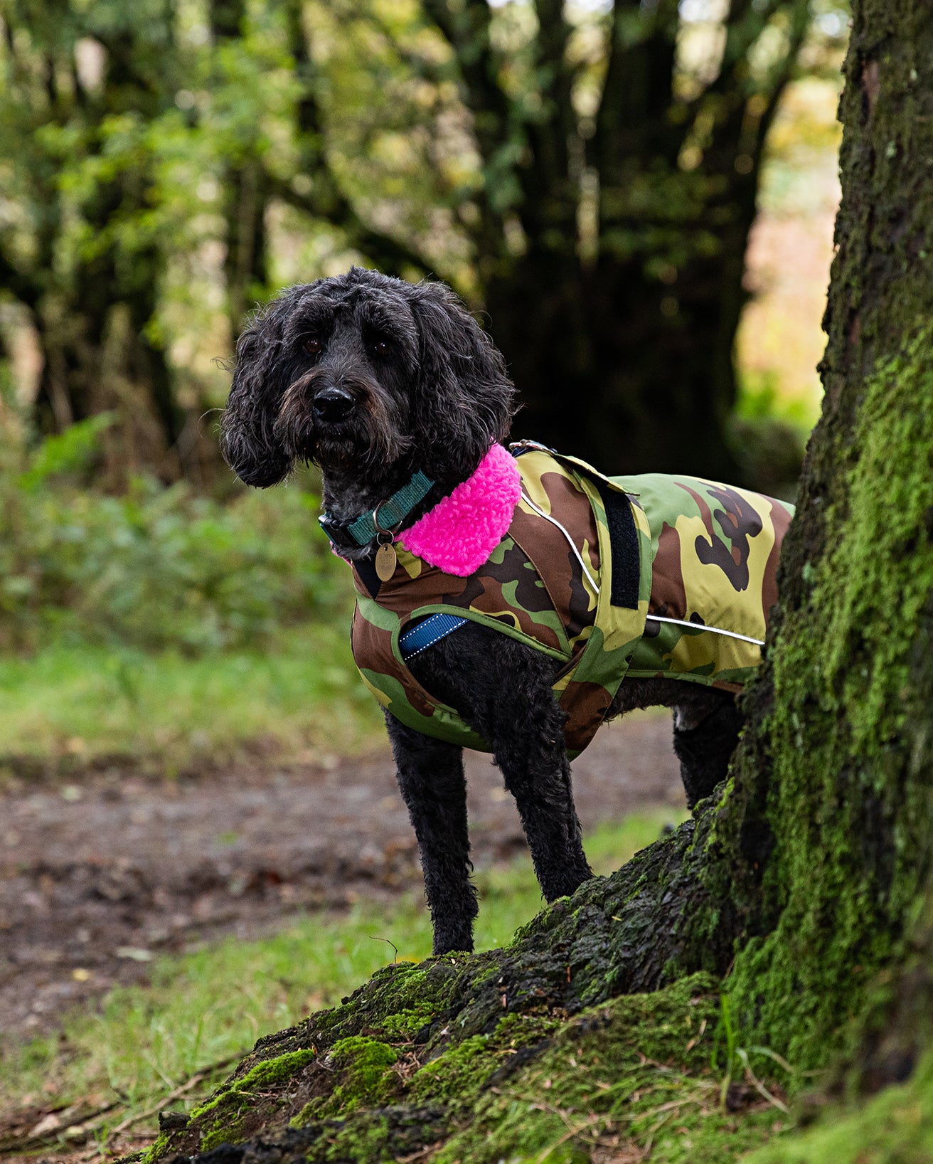 DRYROBE DOG COAT GREENCAMO/PINK