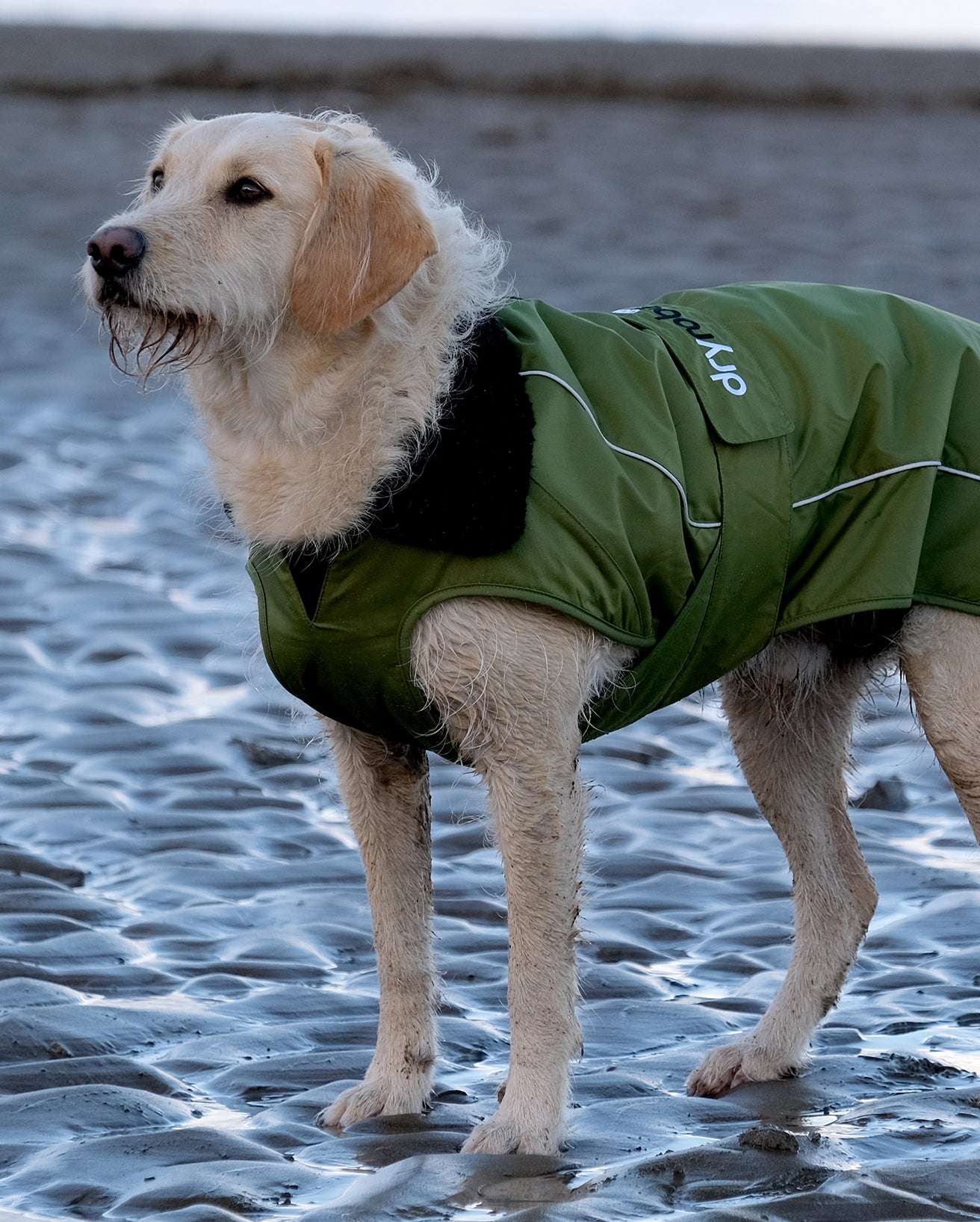 DRYROBE DOG COAT FORESTGREEN/BLACK